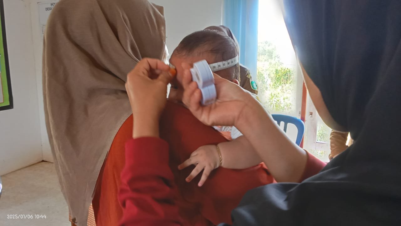 Pengecekan Jentik Nyamuk